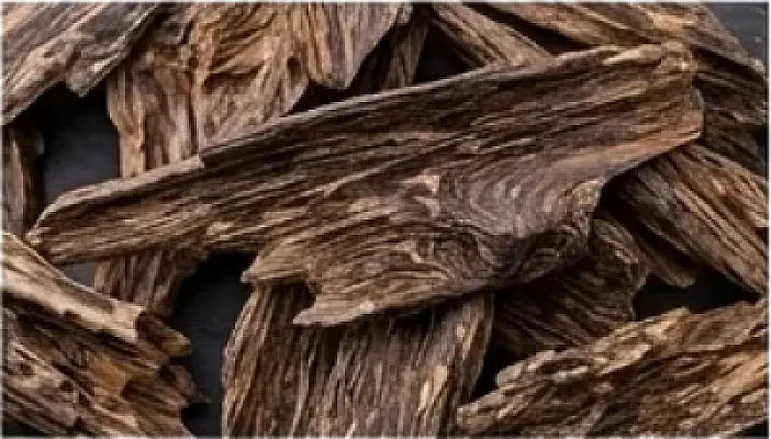 Agarwood