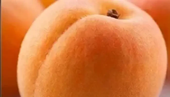 Apricot