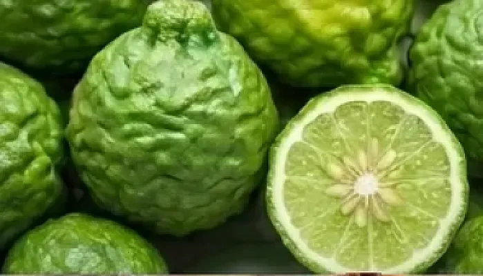 Bergamot