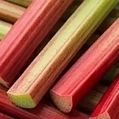 Rhuburb
