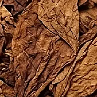 Tobacco