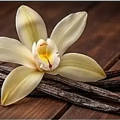 Vanilla