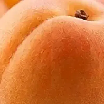 Apricot