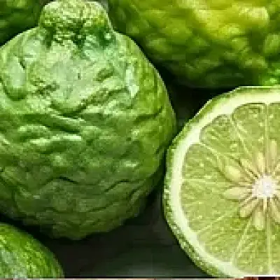 Bergamot