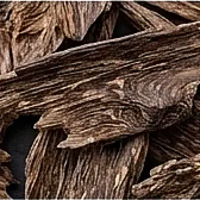 Agarwood