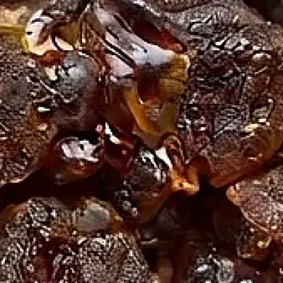 Labdanum