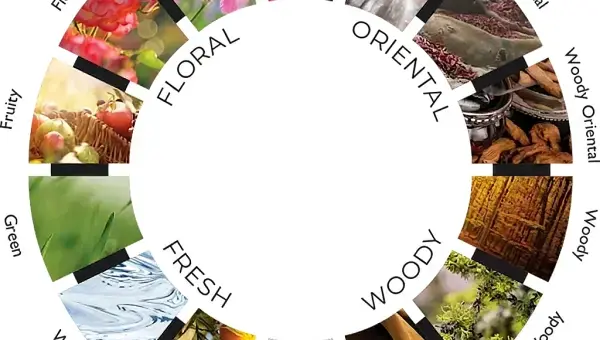 The Complete Guide to Fragrance Families