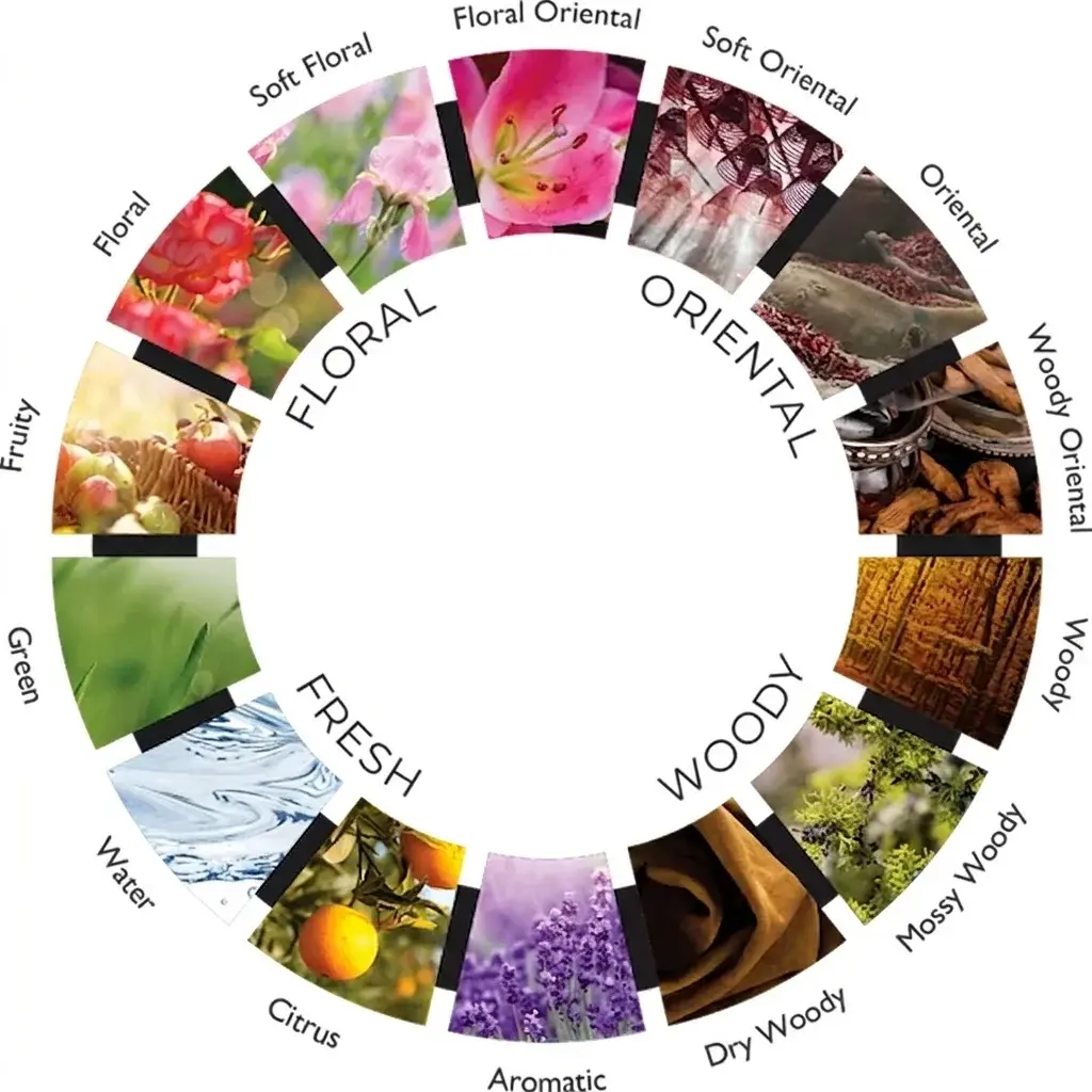 Collection of different fragrance families